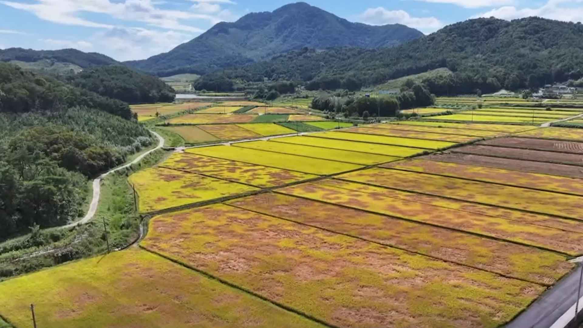 [글로컬 전북] 지역 소식 (익산·남원·순창·무주)