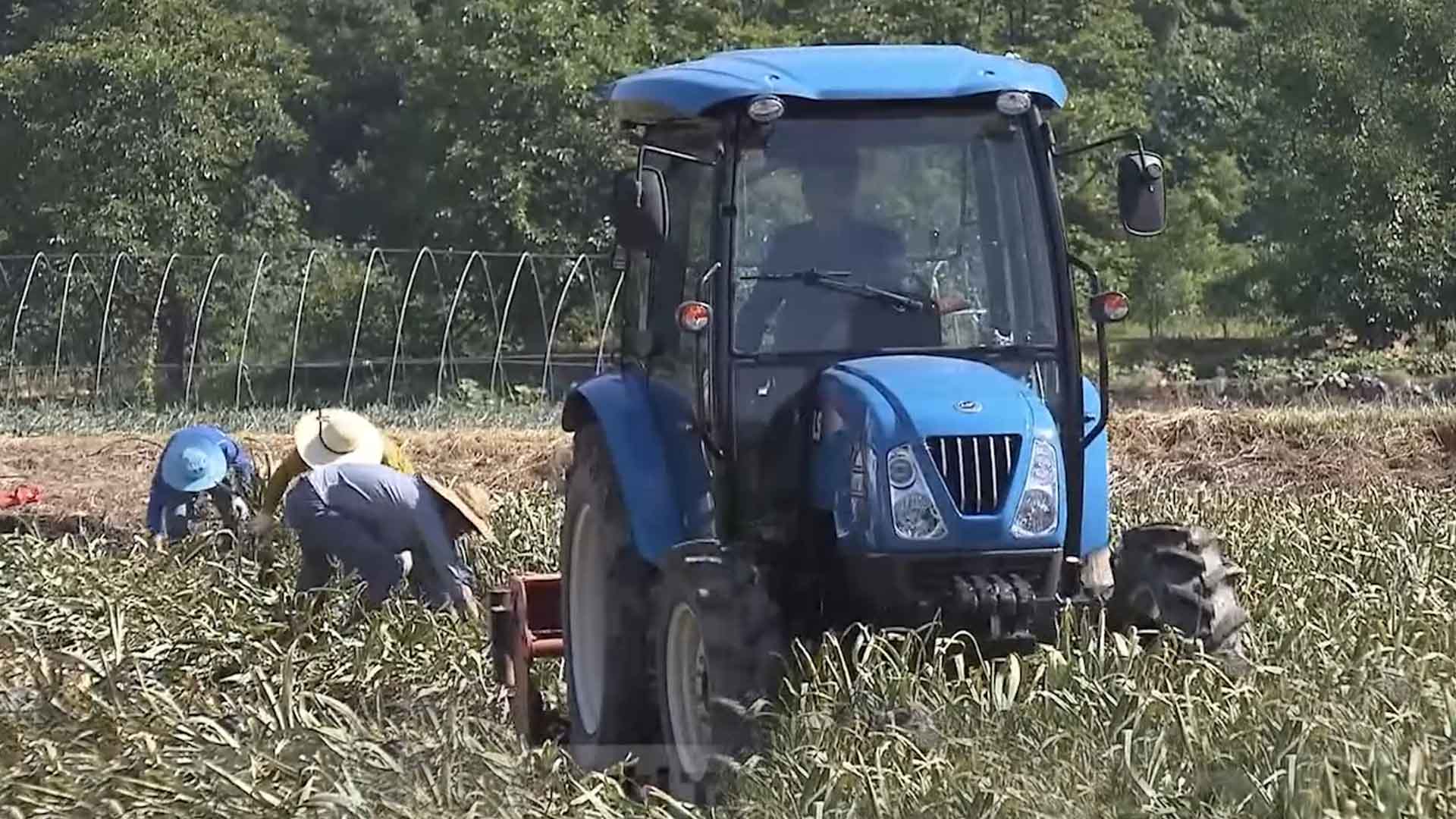 [글로컬 전북] 지역 소식 (남원·고창·완주·부안)