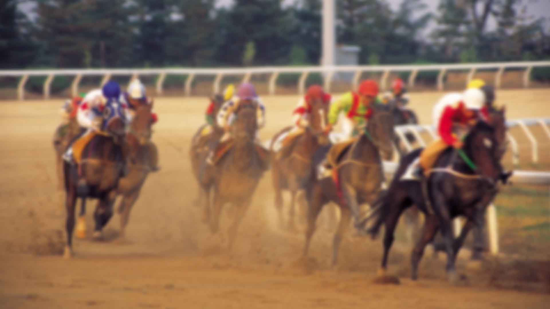 '불법 사설경마' 3년새 23%↑.. 마사회 단속 예산 72%↓