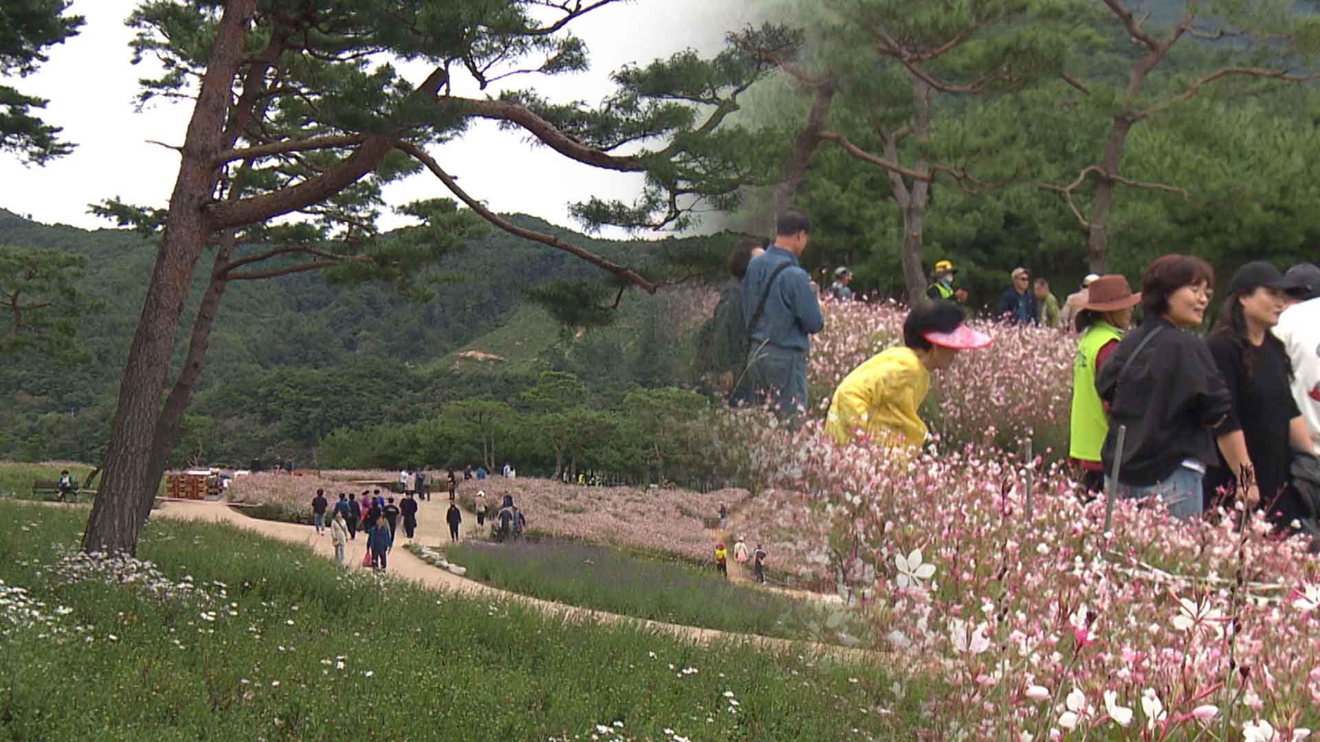 '꽃·노을·독서' 10월 축제 풍성