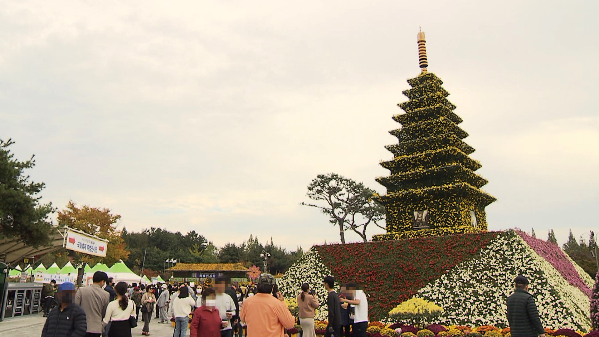 제21회 익산 천만송이 국화축제 18일 개막