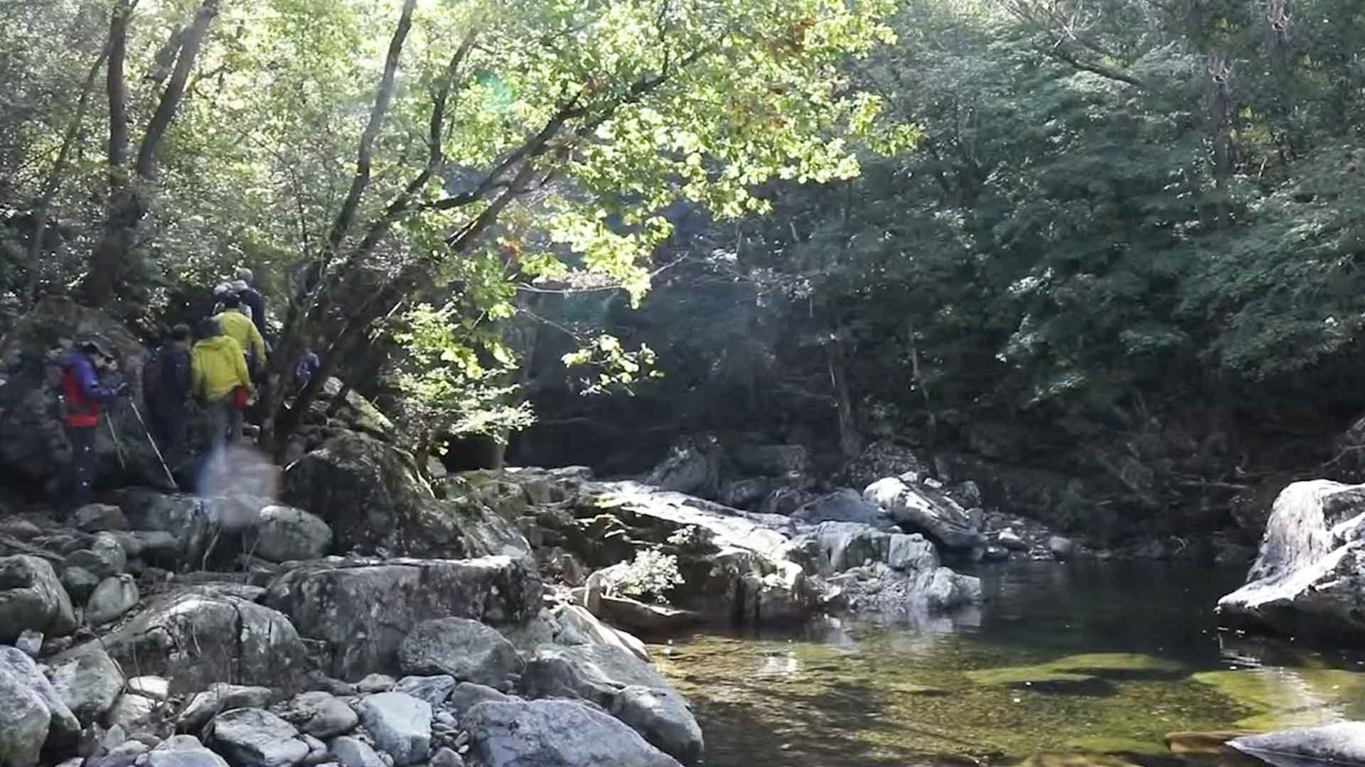 [글로컬 전북] 지역 소식 (임실·완주·남원·무주)