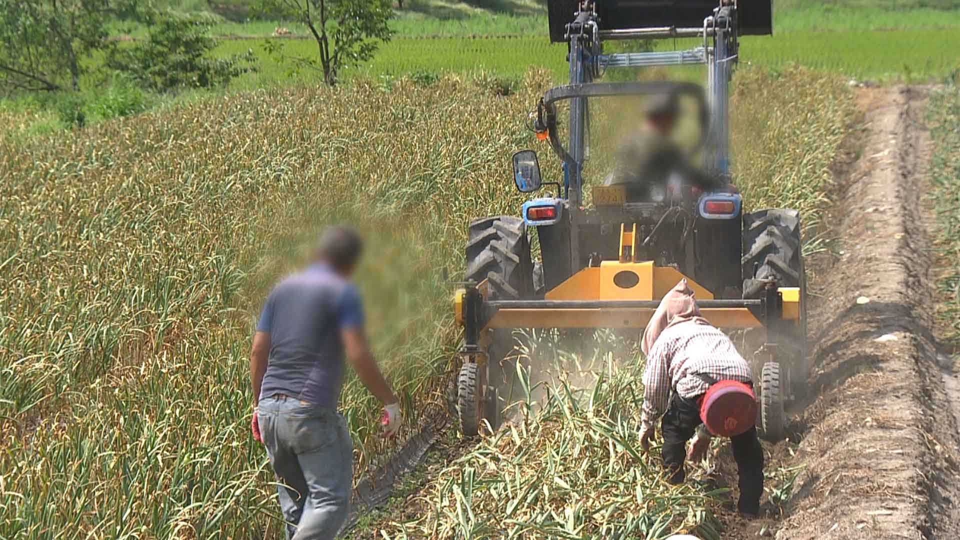 농민 공익직불금 '부정수급' 여전..