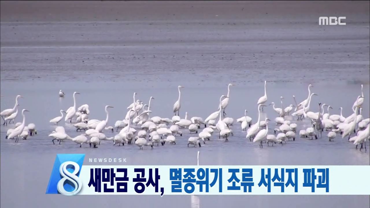 멸종위기종 서식지 위협