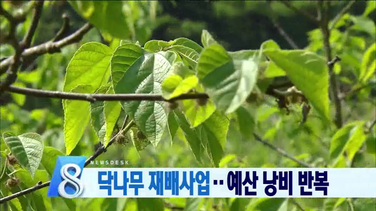 헛발질 예산낭비 닥나무 사업