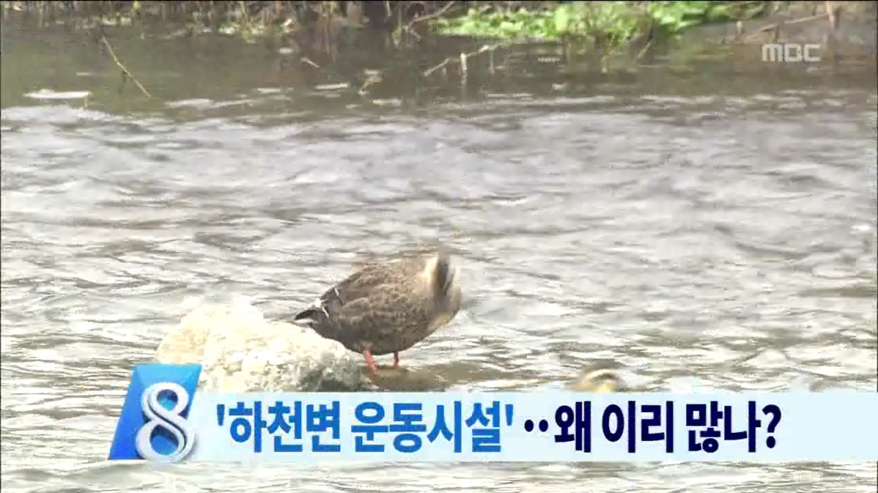 전주 하천 편의 시설