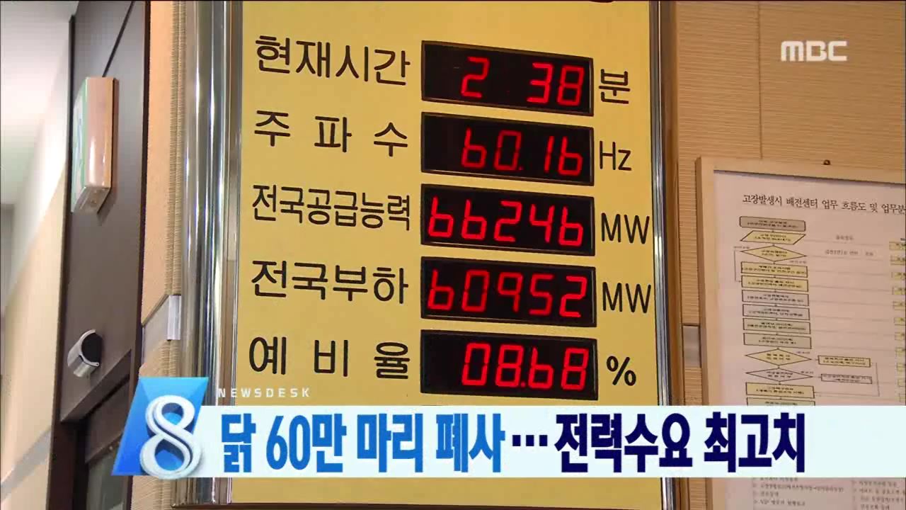 폭염 축산 피해 속출