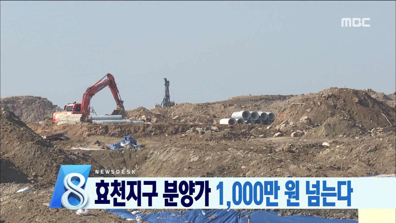 효천 지구 분양가