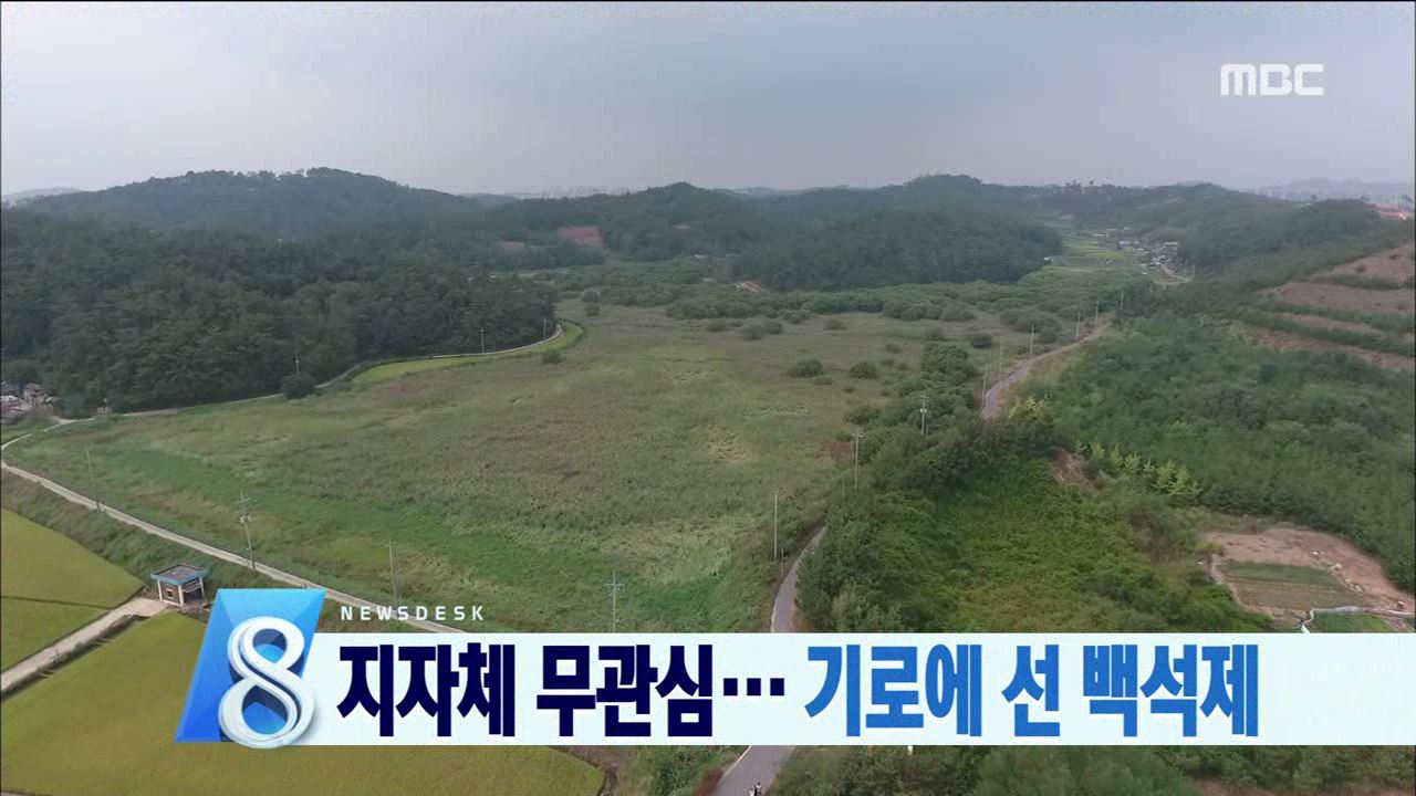 기로에 선 백석제