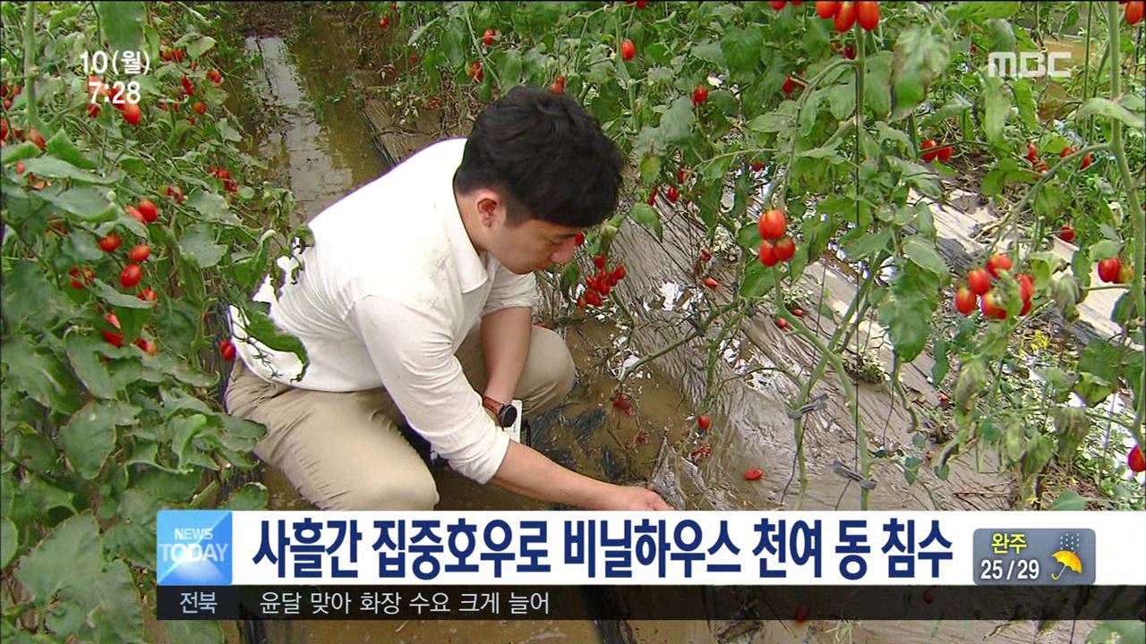 사흘간 집중호우 익산에 집중