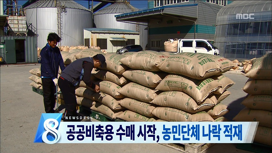 공공 비축용 수매 시작